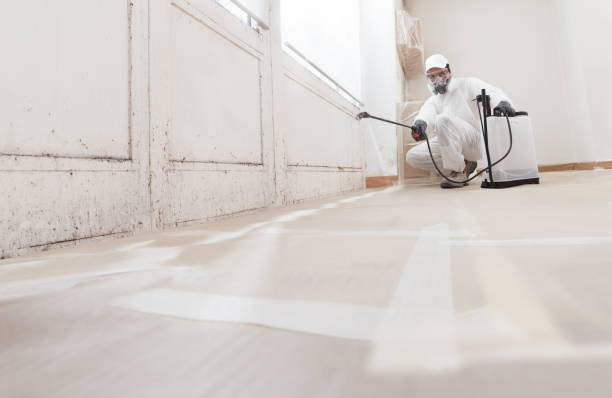 24/7 Emergency Attic Mold Remediation experts in Winchester, VA